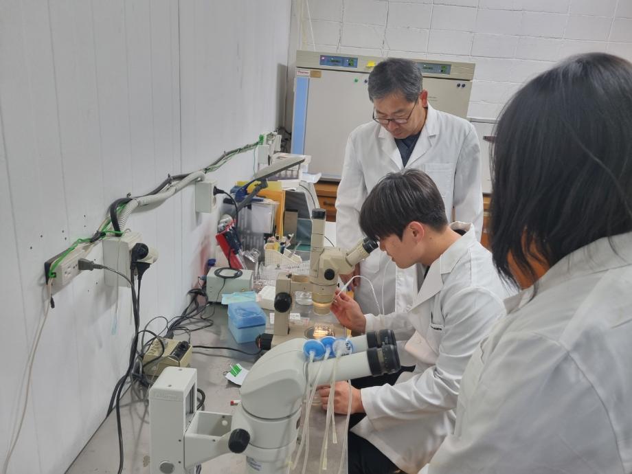 [2-1(바이오신소재)] 기술 교육 특강 (소 미성숙 난자의 체외배양 및 정자처리 기술 교육) 이미지